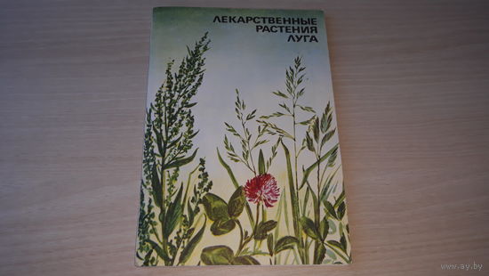 Лекарственные растения луга - Изобразительное искусство 1993