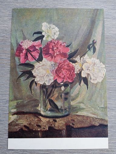 1956. Малютина. Пионы