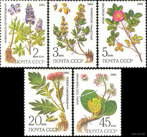 Лекарственные растения СССР 1985 год (5649-5653) серия из 5 марок