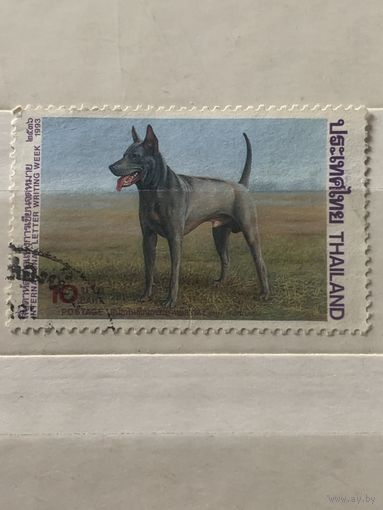 Тайланд 1993. Породы собак