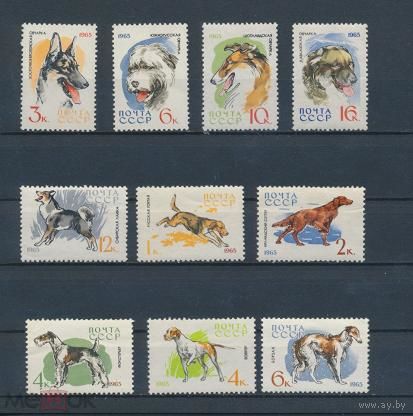 СССР. 1965. Фауна. Служебные и охотничьи собаки