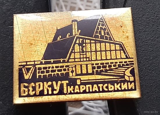 Беркут Карпатский