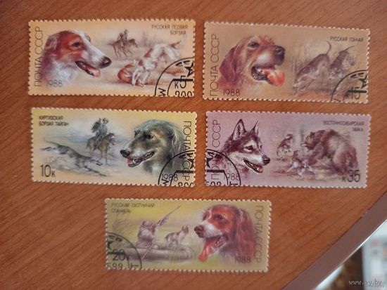 1988 СССР фауна собаки полная серия MNH** (2-2)