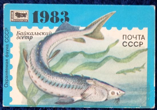 1983 год. Филателия. Байкальский Осётр