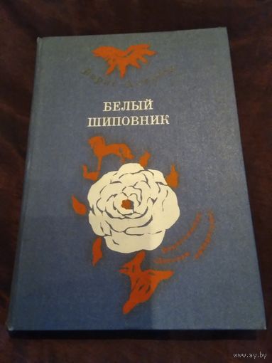 Белый шиповник
