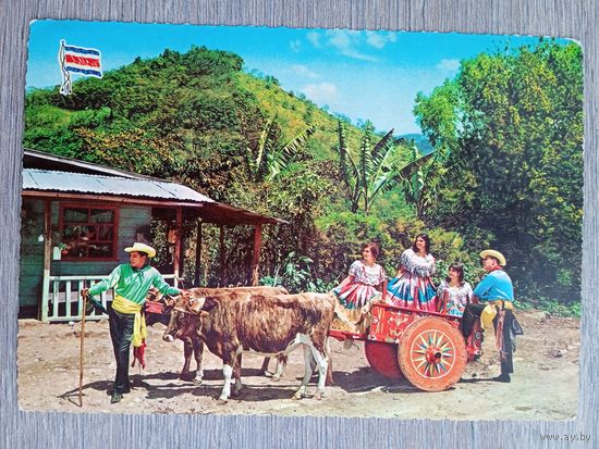 Этнография. Коста-Рика. Традиционная повозка