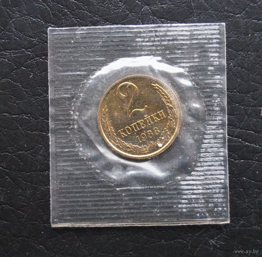 2 копейки  1988 год наборная