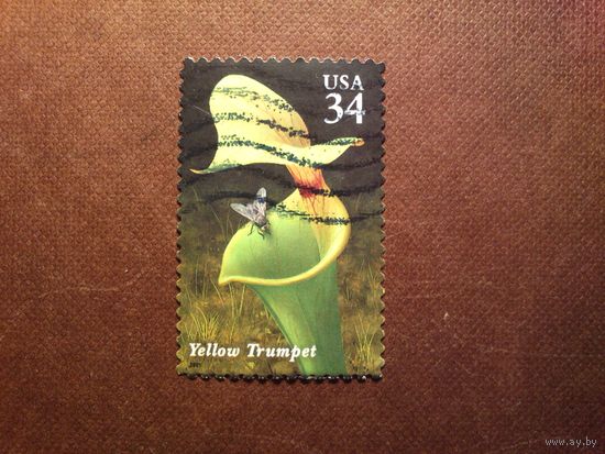 США 2001 г.Хищные растения.ТРУБЫ АНГЕЛОВ (ЭКЗОТИЧЕСКАЯ БРУГМАНСИЯ)./33а/