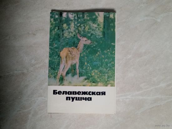Комплект открыток. Беловежская пуща. Издательство Беларусь 1981 г. БССР.