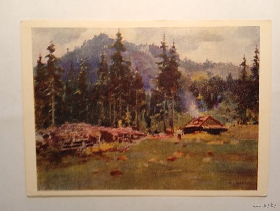 1955. Шишко. Полонина