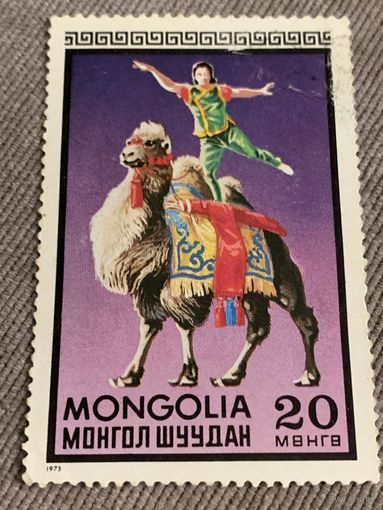Монголия 1973. Цирк. Акробат на верблюде. Марка из серии