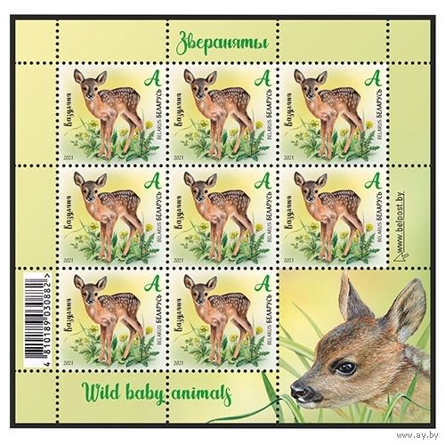 Беларусь 2021 малый лист  "Косуленок" MNH