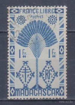 [1453] Французские колонии. Мадагаскар 1943. Флора.Дерево равенала.1фр. Гашеная марка.