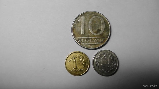 3монеты польши
