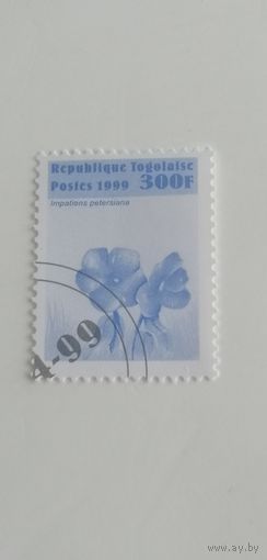 Того 1999. Цветы