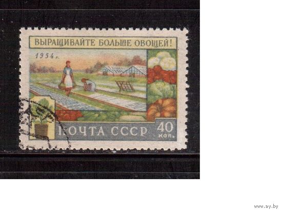 СССР-1954, (Заг.1709), гаш., Сельское хоз-во