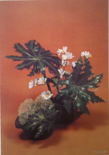 Открытка чистая двойная, 1987, Н. Кравченко, оформление Л. Курьеровой.