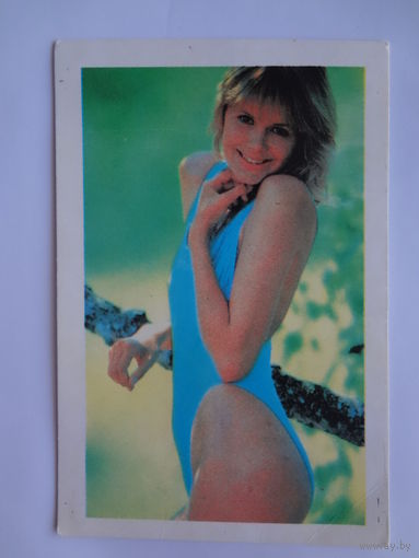 Календарик 1996 г. В голубом.