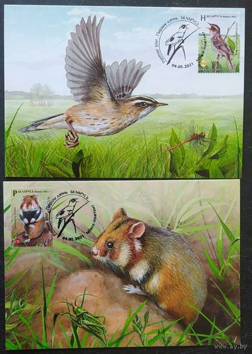 Беларусь 2021 КМ Исчезающие виды национальной дикой природа .