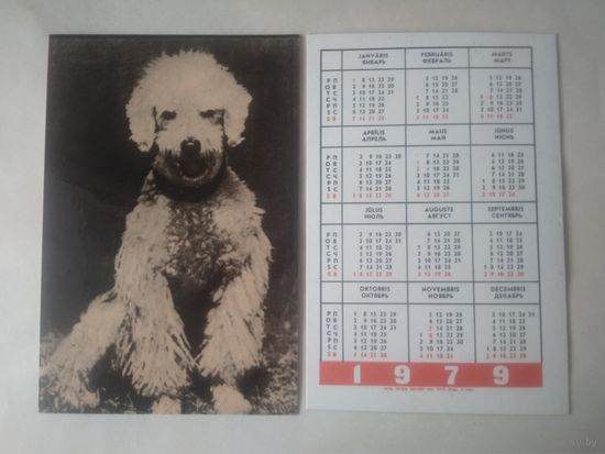 Карманный календарик. Собака.1979 год