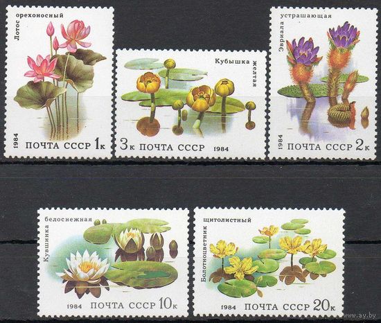 Водные растения СССР 1984 год (5501-5505) серия из 5 марок