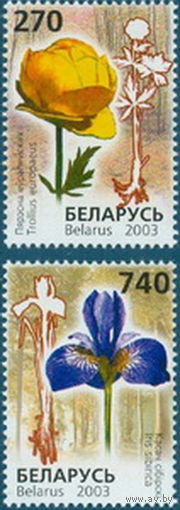 2003. 507-508. Купальница европейская, ирис сибирский**