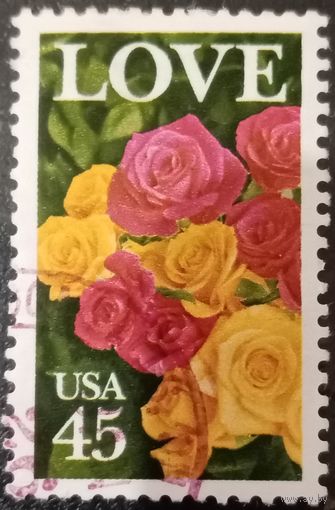 США. Флора. Розы