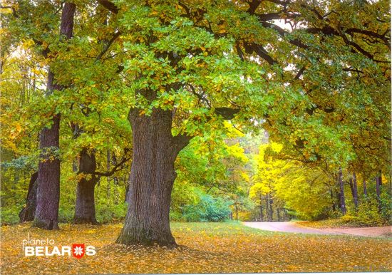 Планета Беларусь, Беловежская пуща, 2019, тираж 1000
