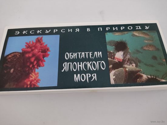 Набор  из 21 открытки (9х21см) " Экскурсия в природу.Обитатели Японского моря" , 1977