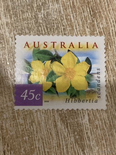 Австралия 1999. Цветы. Hibbertia Scandens. Марка из серии