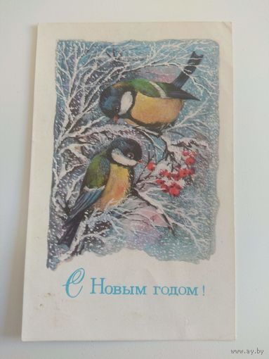 Манилова. 1977