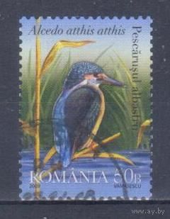 [1130] Румыния 2009. Фауна.Птицы.Зимородок. Гашеная марка.