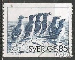 Швеция. Тонкоклювая кайра. 1976г. Mi#937.
