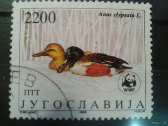 Югославия, 1989. Утки, WWF. Mi-1,5 евро гаш.