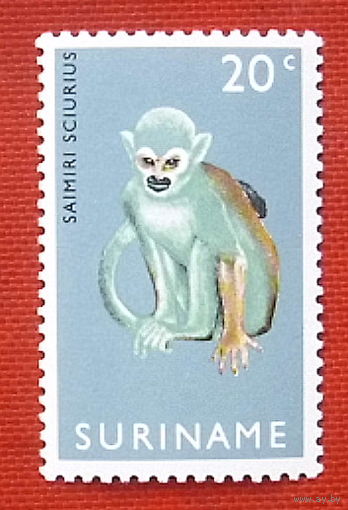 Суринам. Фауна. ( 1 марка ) 1969 года. 8-1.