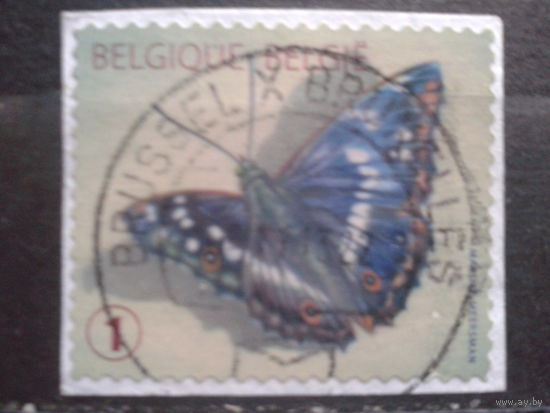 Бельгия 2012 Стандарт, бабочка