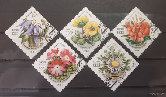 Распродажа с 1 рубля! ФЛОРА. СССР. 1981 год. Цветы (5 марок)