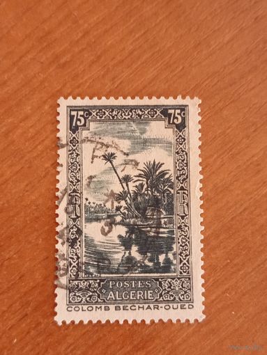 Французская колония Алжир флора (5-5)