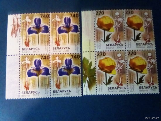 Беларусь 2003 квартблоки цветы