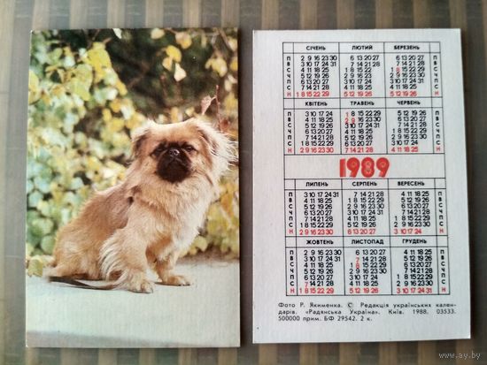 Карманный календарик. Собака. 1989 год