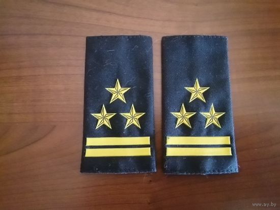 Погоны сьемные офицеров ВВ МВД РБ (цена за любую)