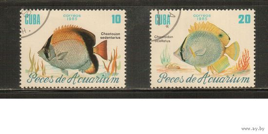 Куба-1985(Мих.2968-2969) , гаш.   , Морская Фауна , Рыбы
