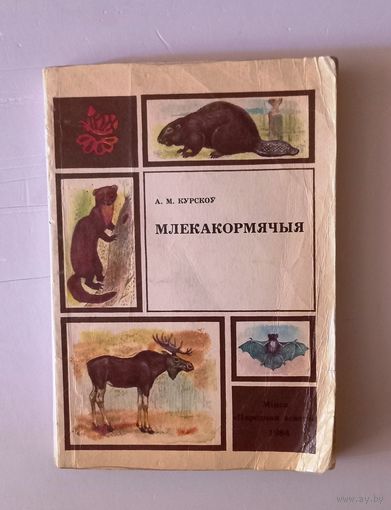 А.М. Курскоў. Млекакормячыя. Мінск, 1984