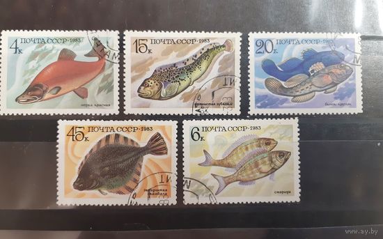 СССР. 1983 год. Фауна. Рыбы (55)