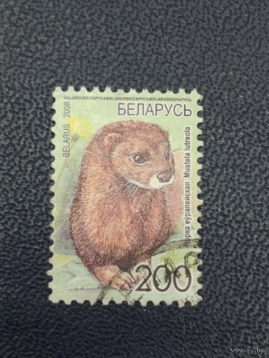 Беларусь 2008г. Норка. Стандарт.