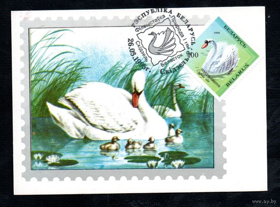 Филвыставка "Природа и мы" Беларусь 1995 год 1 картмаксимум