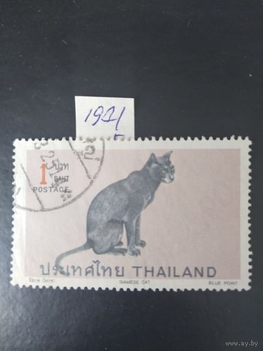 Тайланд 1971  кошка