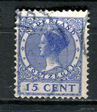 Нидерланды - 1924/1925 - Королева Вильгельмина 15С - [Mi.156A] - 1 марка. Гашеная.  (Лот 41Fy)-T25P33