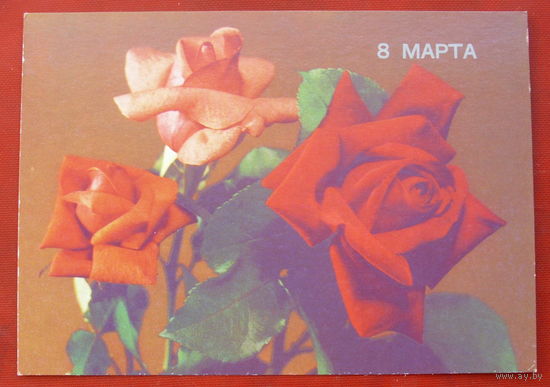8 марта! Чистая. 1989 года. Круцко. 1174.