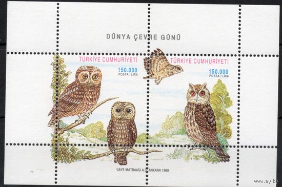 Турция 1998. Фауна птицы Совы блок (3150)